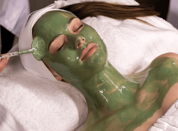 DMK Fermentoterapia